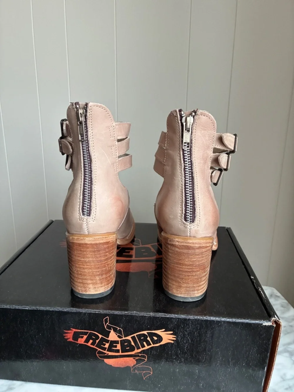 Freebird Randi - Picture 3 of 6